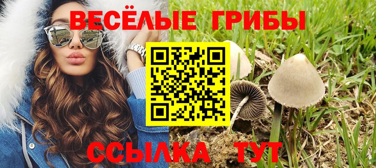 Новокузнецк  Галлюциногенные грибы ЛСД  Псилоцибиновые грибы MAGIC MUSHROOMS  Вход с VPN 