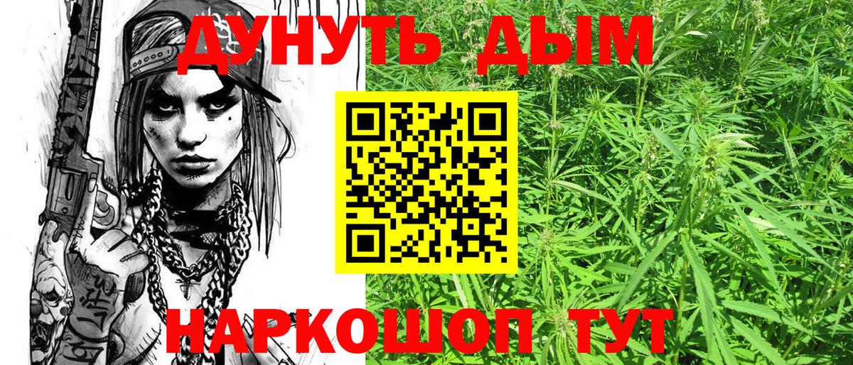 Конопля гибрид Новокузнецк